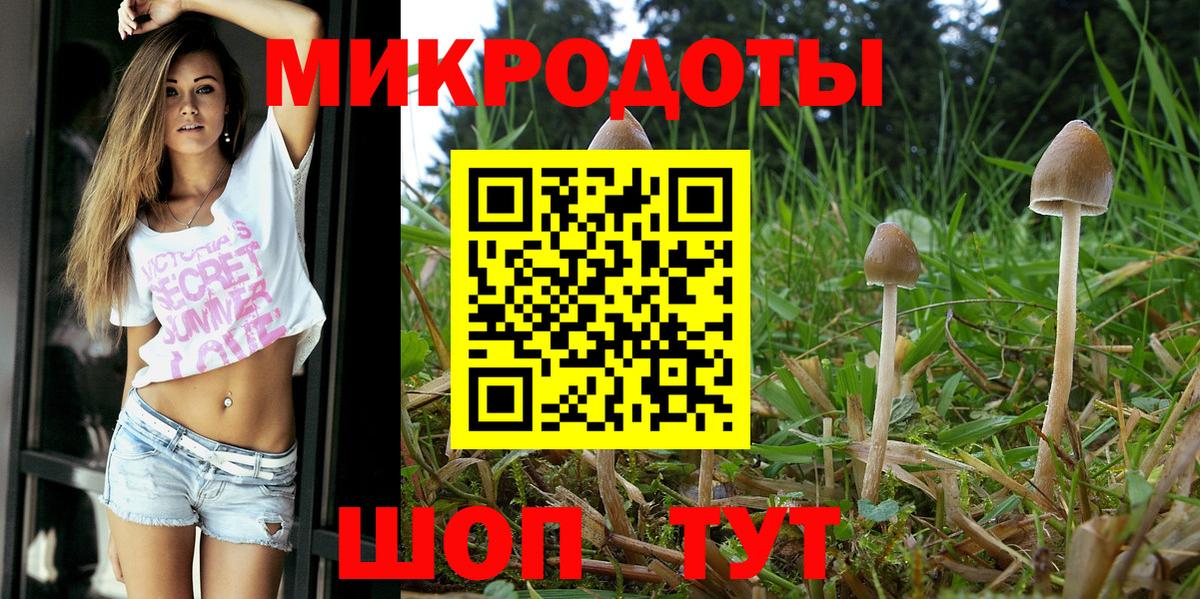 Псилоцибиновые грибы Psilocybine cubensis  сколько стоит  Домодедово  Вход с VPN 