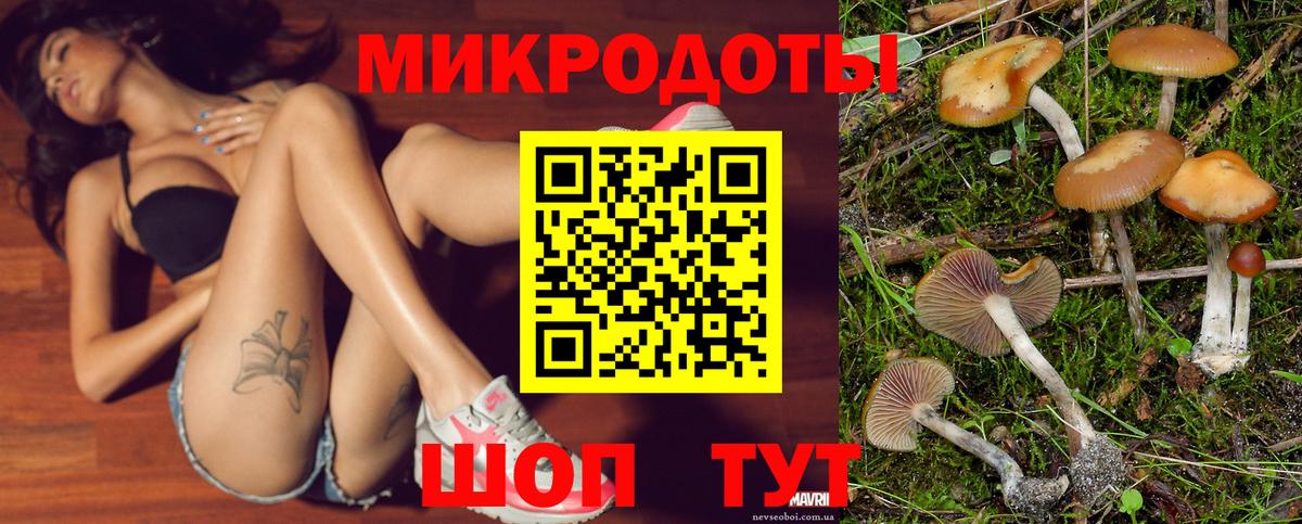 Псилоцибиновые грибы MAGIC MUSHROOMS Домодедово